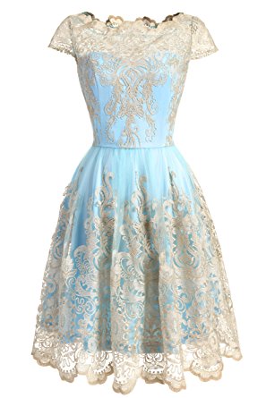 DRESSTELLS Vintage Floral Embroidered Lace Cocktail Maxi Dress with Cap-Sleeves