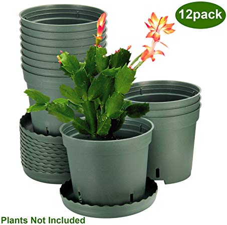 Plastic Pots for Plants, ZOUTOG 6 inch Plastic Planters with Drainage Hole, Pack of 12 - Plants not Included