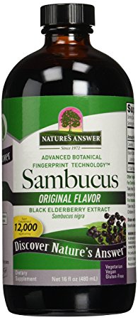 Nature's Answer Alcohol-Free Sambucus Supplement, Original, 16 Fluid Ounce