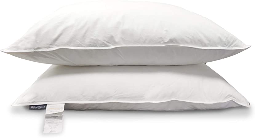 KASENTEX 100% White Down and Feather Bed Pillows Pair (Set) - Egyptian Cotton Fabric, Soft Touch Pillow - Hypoallergenic - Oeko Certified Standard/Queen Size(20x30)