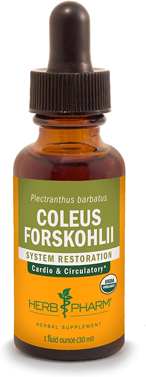 Herb Pharm Coleus Forskohlii Liquid Extract for Heart Health, 1 Ounce