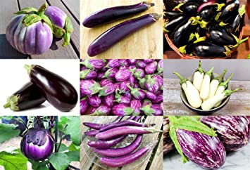 Please Read! This is A Mix!!! 30  Eggplant Mix Seeds 11 Varieties Heirloom Non-GMO Aubergine, Asian, European, Italian, Profilic, Super Delicious, from USA