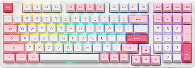 EPOMAKER AKKO Prunus Lannesiana 3098B 98 Keys Hot-Swap 2.4Ghz Wireless/Bluetooth/Wired Mechanical Keyboard with RGB Backlight, PBT Keycaps for Gamers(Akko CS Lavender Purple, 3098B Prunus Lannesiana)