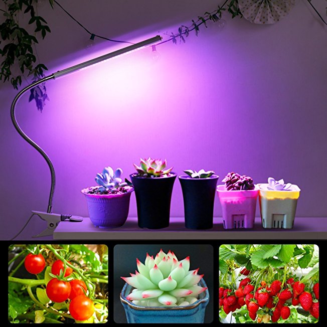 Albrillo LED Grow Light 5W, 3 Dimmable Light Modes with 360° Flexible Gooseneck Desk Clip Plant Lamp for Indoor Plants Gardening Greenhouse Hydroponic