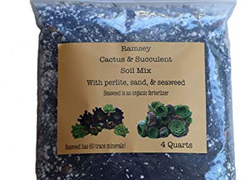Organic Succulent and Cactus Soil Mix, with Seaweed, Perlite, and Sand/Fast Draining Pre-Mixed Course Blend (4 Quarts)