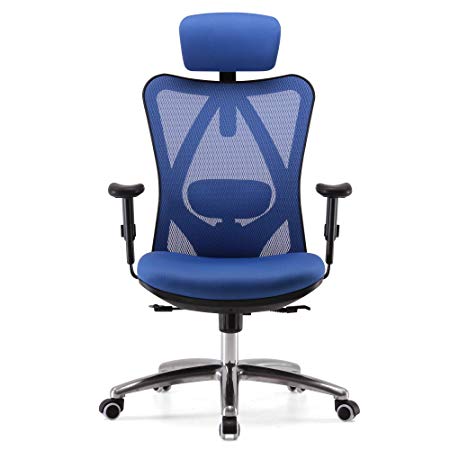 Sihoo Ergonomic Office Chair, Computer Desk Chair, Adjustable Headrest, Backrest, and Armrests, Lower-Back Support, Mesh (Blue)