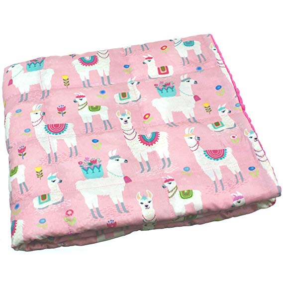 Calming Covers Weighted Blanket for Kids & Adult | Many Styles & Sizes | Made from Designer Fabrics and Weighted with Plastic Poly pellets (6 lbs 35 x 41, Llamas Cotton & Minky)