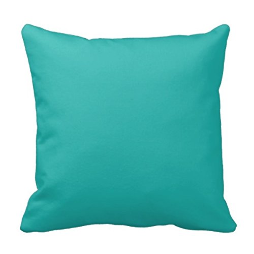 Decors Ocean Breeze Aqua Teal Blue Solid Color Backround Throw Pillow Case Cushion Cover Home Sofa Decorative 16 X 16 Squares Case Cushion Cover Home Sofa Decorative 16 X 16 Squares (Twin Sides)
