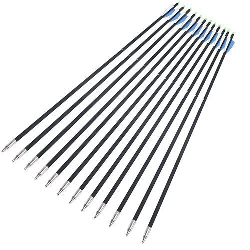 Posch Archery 12 Pack Natural Feather Fletching Carbon Composite Target Practice Arrows for Recurve, Compound and Traditional Longbow