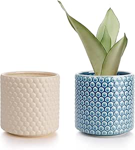 POTEY Planters Pots for Plants Indoor 054307 6 Inch Ceramic Vintage Style Polka Dot Patterned Planters Bonsai Container with Drainage Hole for Plants Succulent Cactus(Plants NOT Included)