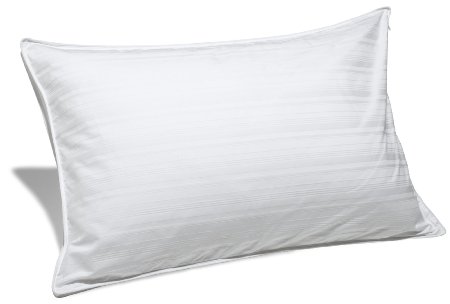 Pinzon Hypoallergenic Firm Density Down Alternative Pillow - Standard