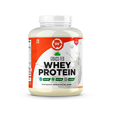Grass Fed Whey Protein - 100% Pure, Natural & Raw – 24g High Protein - 5lb/75 Servings - COLD PROCESSED Undenatured - Non-GMO - rBGH - High Quality Wisconsin USA (5 lbs)