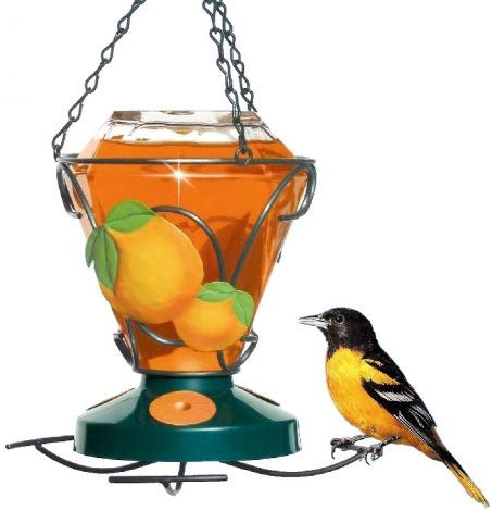 Perky-Pet 750 Deluxe Hand Painted Oriole Feeder, 24-Ounce Capacity
