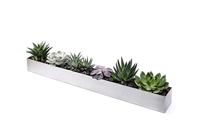 Veradek Geo Trough Planter, 3-Inch Height by 3.5-Inch Width by 32-Inch Length, Stainless Steel (GEVTRSS)