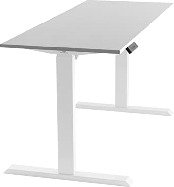 TechOrbits Electric Standing Desk Frame 60 x 24 Inch Tabletop - Motorized Workstation Two Leg Stand Up Desk with Memory Settings and Telescopic Sit Stand Height Adjustment (White Frame/White Top)