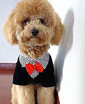 Blingy's® Cute Formal Tuxedo Style Suit for Dogs