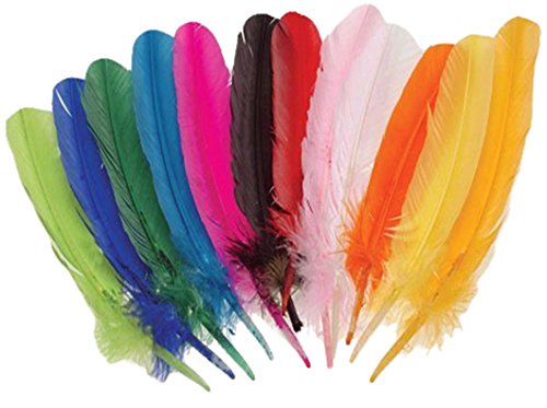Kid Fun Assorted Color Turkey Feathers