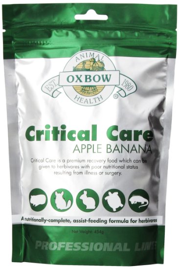 Oxbow Critical Care Apple/Banana Pet Supplement, 1-Pound
