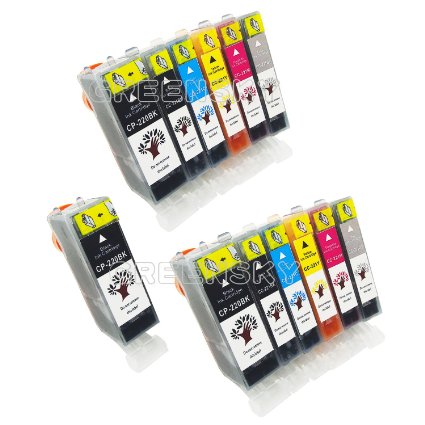 GREENSKY 13 Pack Compatible Ink Cartridge Replacement for Canon PGI-220 & CLI-221(3BX,2B,2C,2M,2Y,2G) Compatible With Canon PIXMA MX860, MP540, MP550, MP560, MP620, MP630, MP640, MP990, iP4600 etc