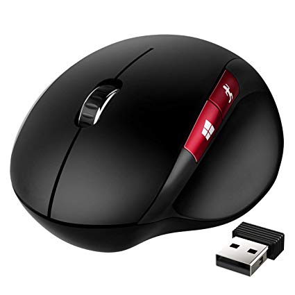 VicTsing Wireless Ergonomic Mouse, Windows Menu Button Shortcut, 3 Adjustable Cpi Level, Optical Mouse with Power Saving Mode for PC, Laptop, Computer