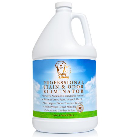 Pet Stain and Odor Remover Enzyme Cleaner Odor Eliminator Best Carpet Stain Remover Pet Odor Eliminator Stain Remover Odor Neutralizer Cat Urine Smell - Cleaner - Eliminator Sunny and Honey 1 Gallon