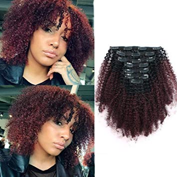 Sassina Ombre Afro Curly Clip In Human Hair Extensions Double Wefts Remi Hair For Black Women Natural Black Fading into Cherry Wine 120 Grams/Set With 7 Pieces 17 Clips AC TN99J 12 Inch