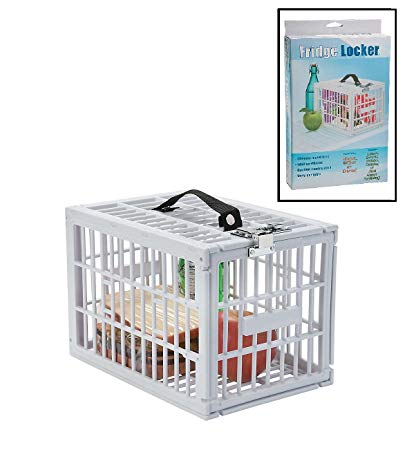 Portable Fridge Locker (7 1/2" x 11 x 7 1/2") Food Safe Box.