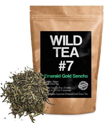 Organic Sencha Green Tea Wild Tea 7 Emerald Gold Sencha Loose Leaf Tea 4 ounce