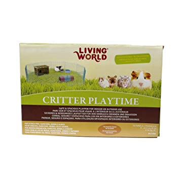 Living World Critter Play Time