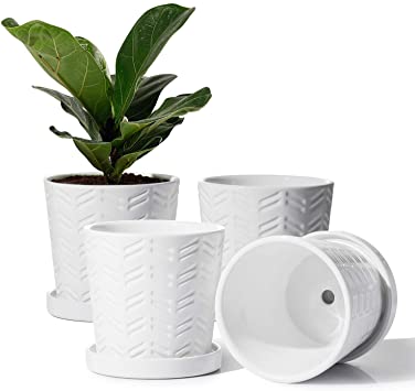 POTEY Ceramic Flower Pots - 4.8 Inch Cylinder Modern Indoor Planter Succulent Round Garden Container with Connected Saucer and Drain Hole- Set of 4, Glazed, White