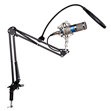 Floureon BM-800 Condenser Microphone   Pop Filter Wind Screen   Arm Stand with XLR Male to XLR Female Microphone Cable for Studio Recording (Blue)