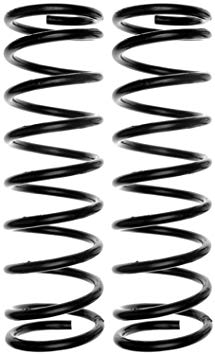 ACDelco 45H2124 Professional Rear Coil Spring Set