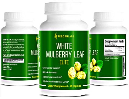 Best White Mulberry Leaf Extract  Top Appetite Suppressant for Weight Loss  Controls Cravings and Reduces Appetite Effectively  Natural Blood Sugar Support  1-Month Supply