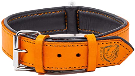 Riparo Genuine Leather Padded Dog Heavy Duty K-9 Adjustable Collar (L: 1.5” Wide for 18” - 21” Neck, Orange)