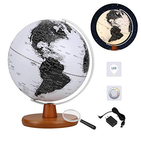 FUN GLOBE World Globe Desktop Education Geographic Interactive Earth Globes for Kids & Adults for Educational Toys/Office Supplies/Indoor Decorations/Holiday Gift (White- 10IN)