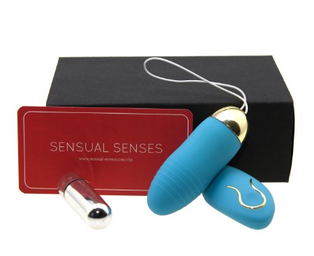 10 Speed Remote Vibrator Toy For Women With Silver Mini Vibrator by Sensual Senses - Controllable Intense Personal Disceet Erotic Arousal Powerful Stimulator