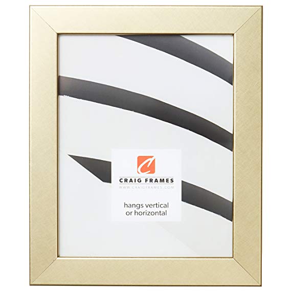 Craig Frames Bauhaus 125 Picture Frame, 18 x 24 Inch, Brushed Gold