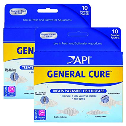 API General Cure Freshwater and Saltwater Fish Powder Medication 10-Count Box