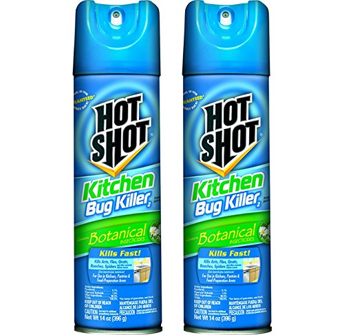 2-Pack Hot Shot Kitchen Bug Killer Aerosol