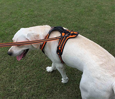 Dog Car Harness Heavy Duty Training Harness Safe Car Seat Belt with D-Ring and Soft Handle