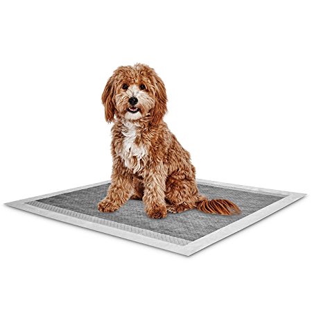 Carbon Activated 28x34 Maximum Absorbent Potty Puppy Training Pads, Ships Next Day