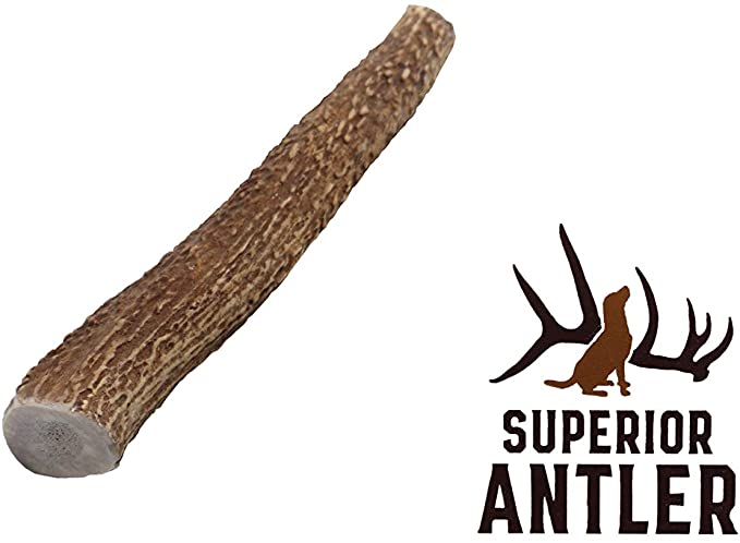 1-Medium Elk Antler –Single Pack. All Natural Premium Grade A. Antler Chew. L=5-8” Naturally shed, Hand-Picked, and Made in The USA. NO Odor, NO Mess. Guaranteed Satisfaction. for Dogs 20-45 LBS