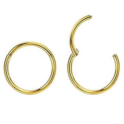 FANSING G23 Titanium Nose Rings 20G 18G 16G 14G 12G 10G Nose Hoop Lip Rings Septum Rings Helix Earrings Cartilage Earring Daith Earrings Rook Earrings Tragus Earrings Hoop Piercing Jewelry