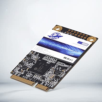 Dogfish Msata SSD 60GB Internal Solid State Drive SATA III PC Mini Sata SSD Disk 60 High Performance Hard Drive for Notebook Desktop Laptop (MSATA 60GB)