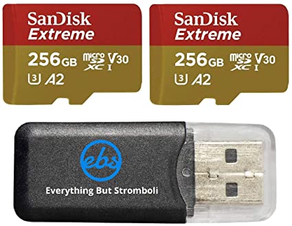 SanDisk Extreme V30 A2 256GB Micro SD Card (Two Pack) for DJI Air 2S Drone (SDSQXA1-256G-GN6MN) Class 10 160MB/s Read Speed SDXC Bundle with (1) Everything But Stromboli MicroSDXC Memory Card Reader