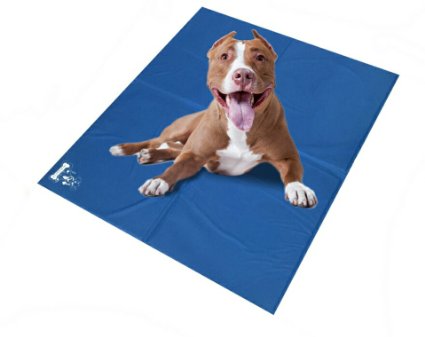 Mr. Peanut's XL Chill Pad, Pressure Activated Comfort Cooling Non-Toxic Gel Pet Mat, No Chilling Required, Perfect for Floors, Couches, Car Seats, Pet Beds & Kennels, X-Large (37" x 31.5")