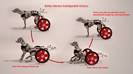 SitGo Dog Pet Wheelchair Revolution All Sizes