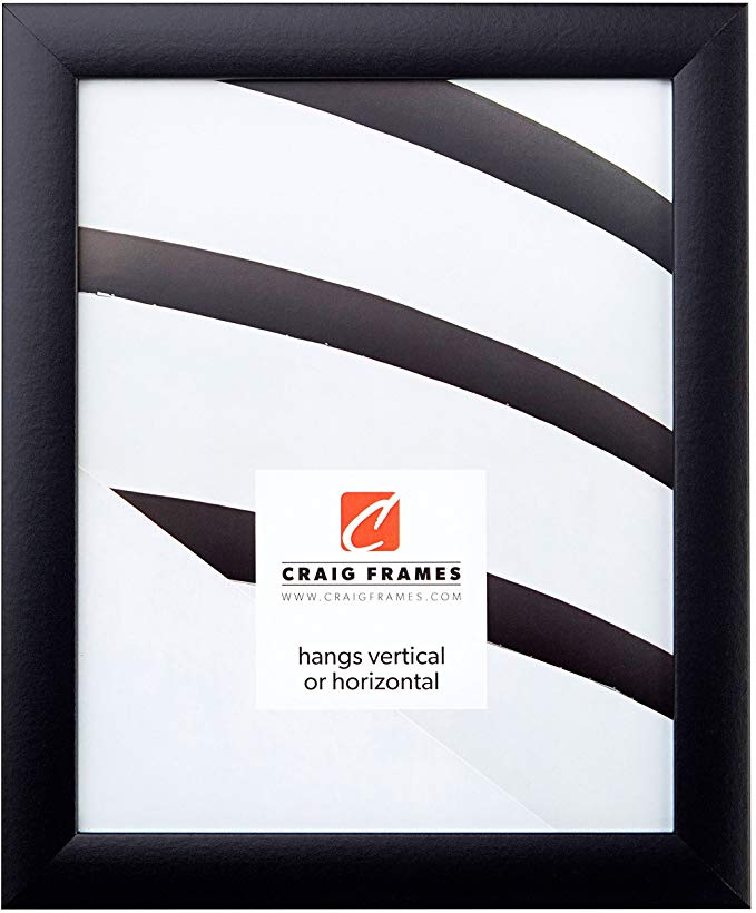 Craig Frames Contemporary Gallery Black Picture Frame, 18 by 27-Inch