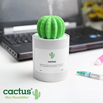 NiceMax Cactus Travel USB Ultrasonic Humidifier ,Desk Top Mini Portable Personal 280Ml Steam Diffuser Air Purifier for Bedroom, Home ,Office, Car (Grey)