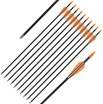 Elong Fiberglass Arrows Archery 24 26 Inch Target Shooting Practice Safetyglass Recurve Bows Suitable for Youth Children Woman Beginner